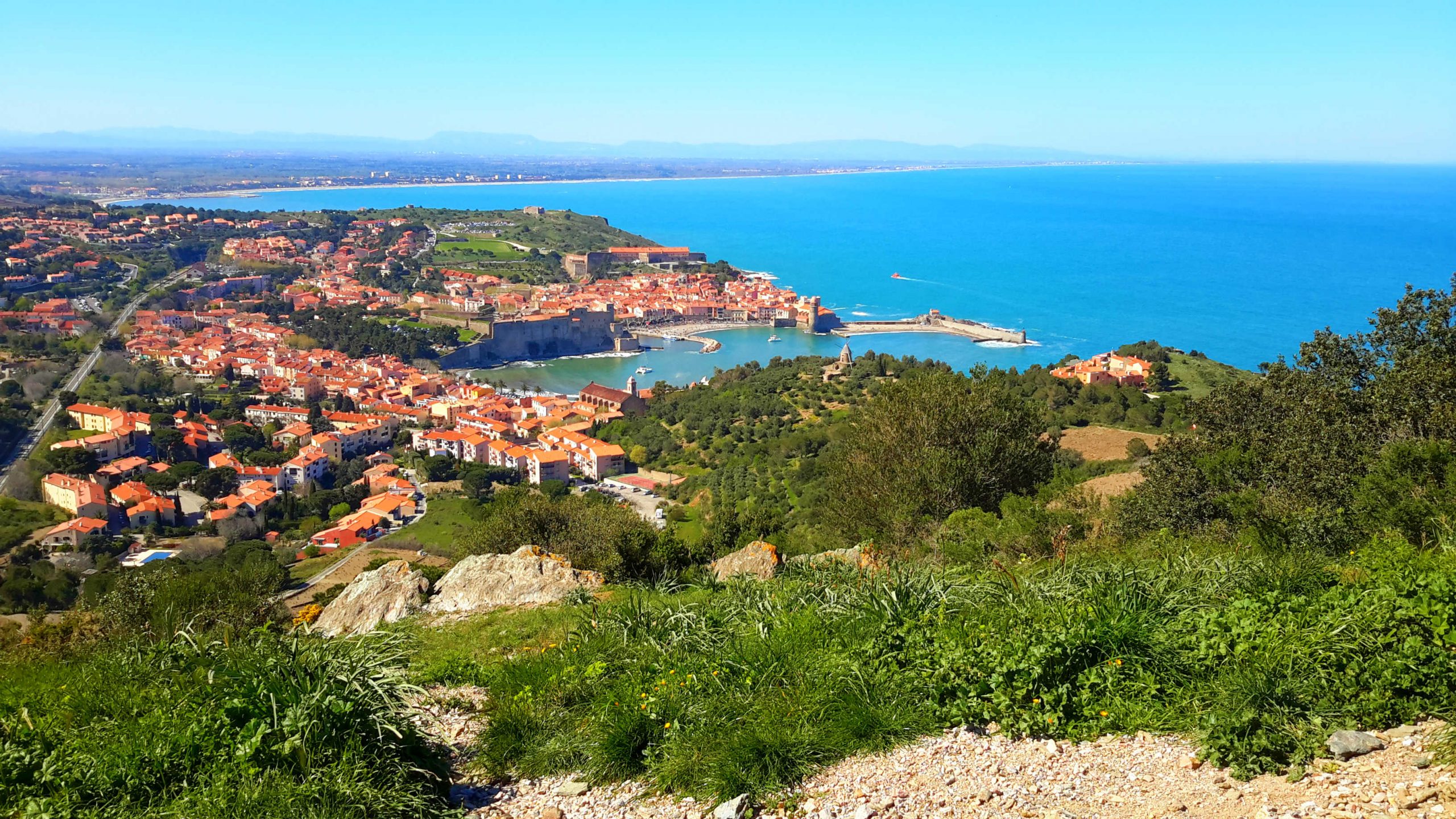 Collioure