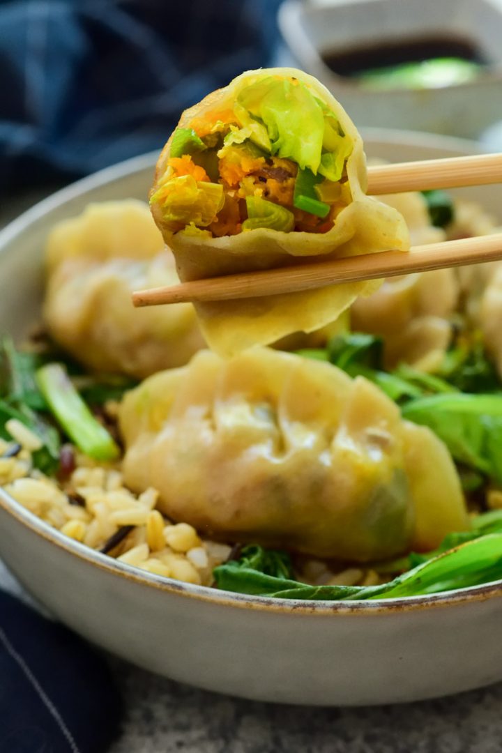 Vegan Potstickers Cilantro and Citronella