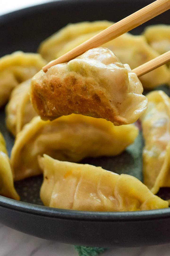Vegan Potstickers Cilantro and Citronella